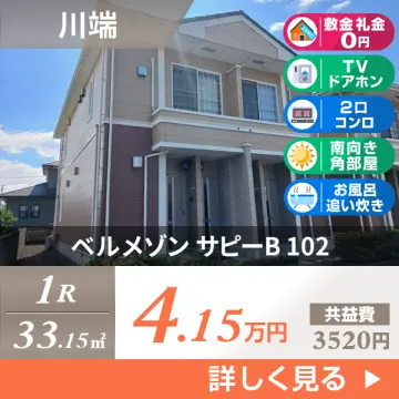ベルメゾン サピーB 102