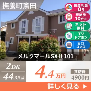 メルクマールSX II 101