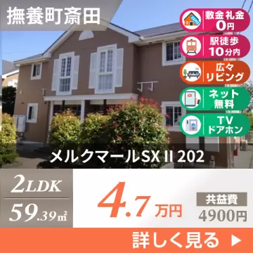メルクマールSX II 202