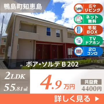 ボア・ソルテ B 202
