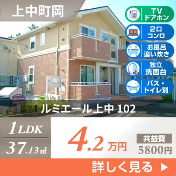 ルミエール上中 102