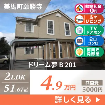 ドリーム夢 B 201