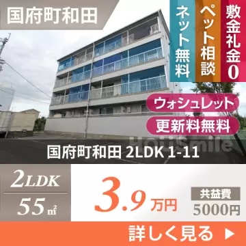 国府町和田 マンション 2LDK 1-11