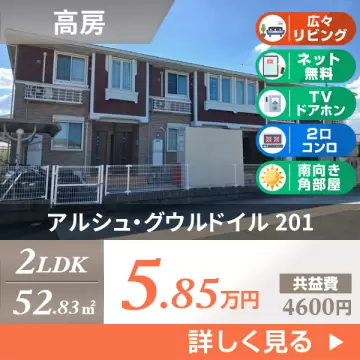 アルシュ・グウルドイル 201