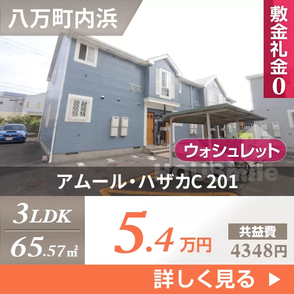 アムール・ハザカC 201