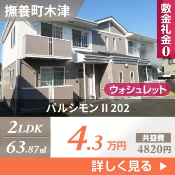 パルシモン II 202