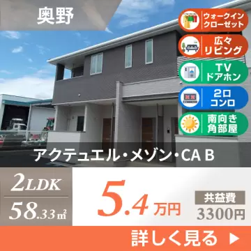 アクテュエル・メゾン・CA B 201