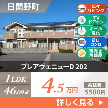 プレアヴェニューD 202