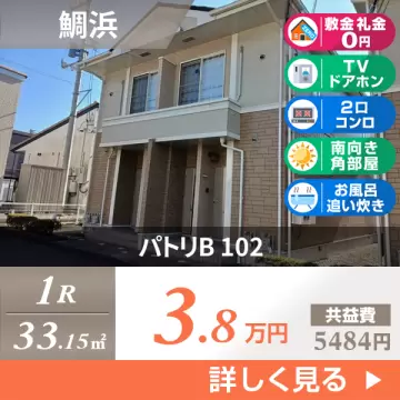 パトリB 102