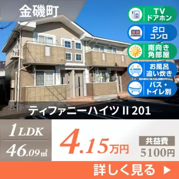 ティファニーハイツ II 201