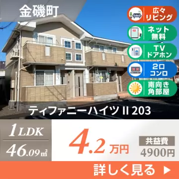 ティファニーハイツ II 203