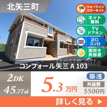 コンフォール矢三 A 103