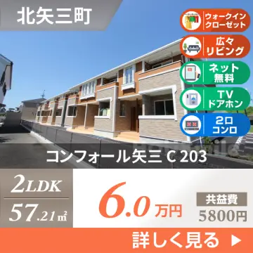 コンフォール矢三 C 203