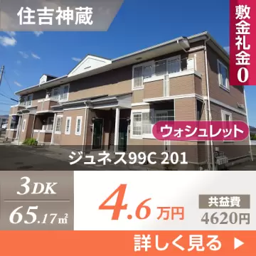 ジュネス99C 201