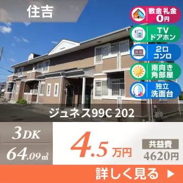 ジュネス99C 202