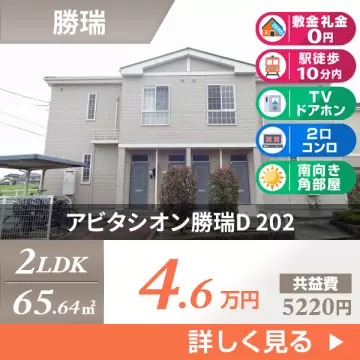 アビタシオン勝瑞D 202