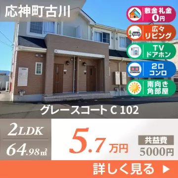グレースコート C 102