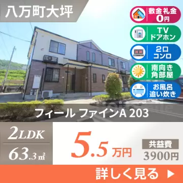 フィール ファインA 203