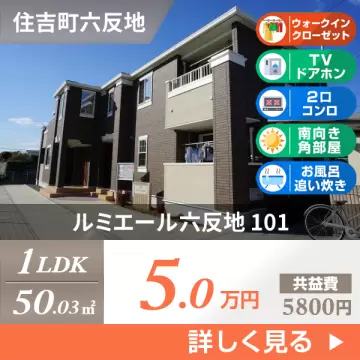 ルミエール六反地 101