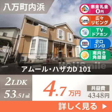 アムール・ハザカD 101