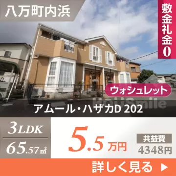 アムール・ハザカD 202