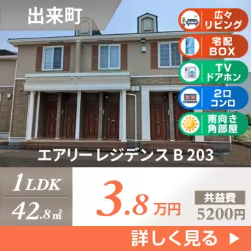 エアリー レジデンス B 203