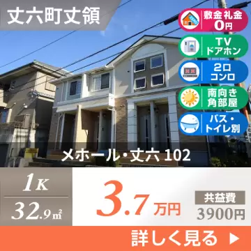 メホール・丈六 102