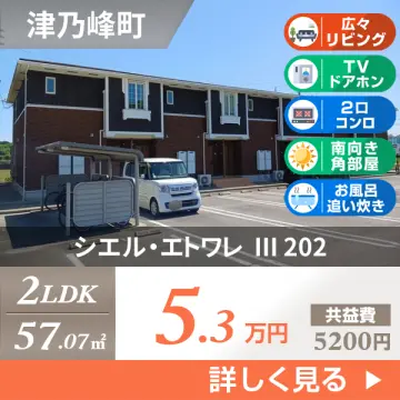 シエル・エトワレ III 202