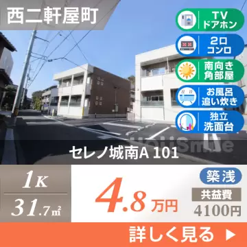 セレノ城南A 101