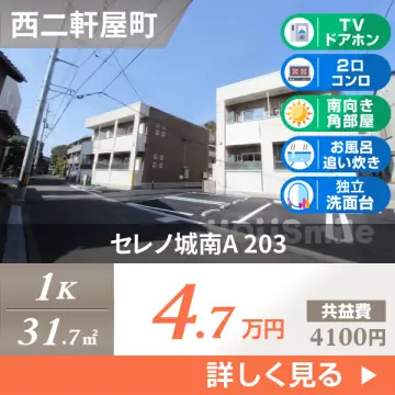 セレノ城南A 203