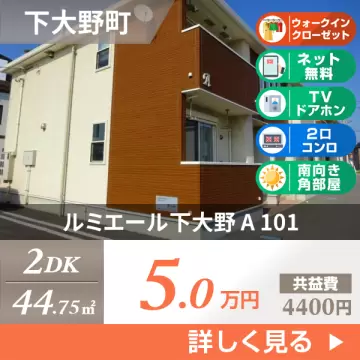 ルミエール下大野 A 101