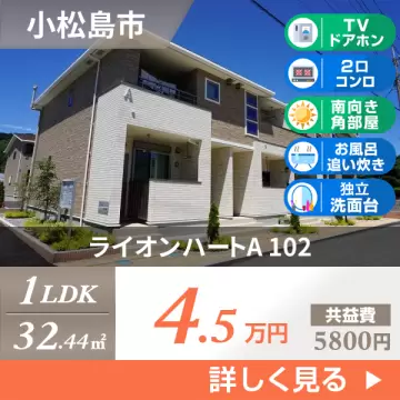 ライオンハートA 102