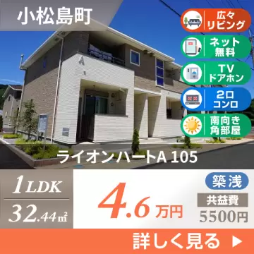 ライオンハートA 105