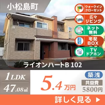 ライオンハートB 102