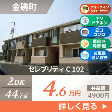 セレブリティ C 102