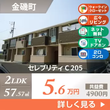 セレブリティ C 205