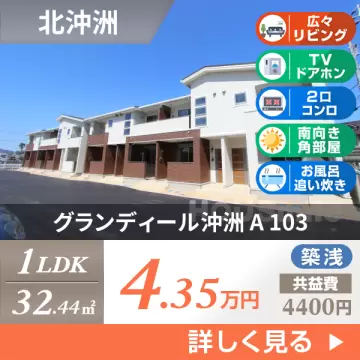 グランディール沖洲 A 103