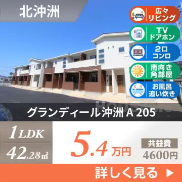 グランディール沖洲 A 205