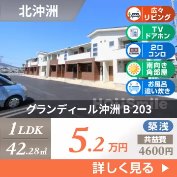 グランディール沖洲 B 203