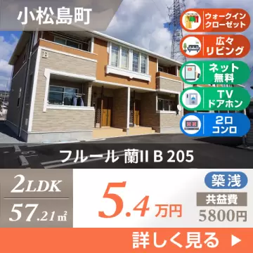 フルール 蘭II B 205