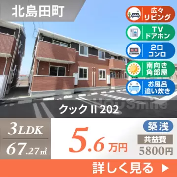 クック II 202
