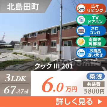 クック III 201