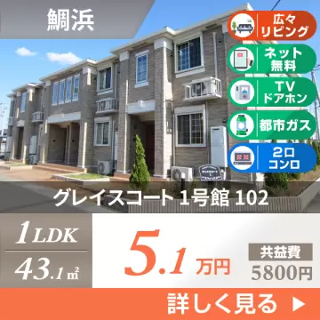 グレイスコート 1号館 102