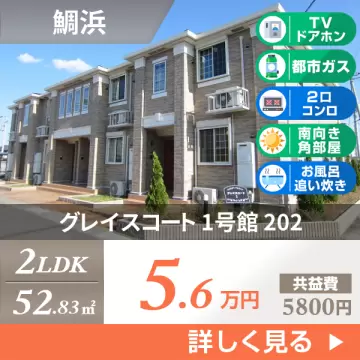 グレイスコート 1号館 202