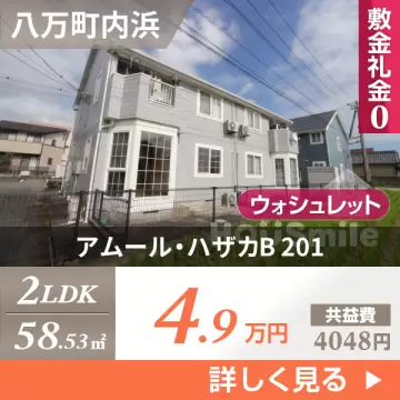アムール・ハザカB 201