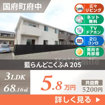 藍らんどこくふA 205