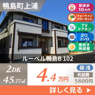 ルーベル鴨島B 102