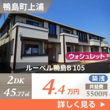 ルーベル鴨島B 105