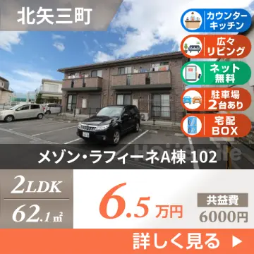 メゾン・ラフィーネA棟 102