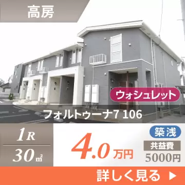 フォルトゥーナ7 106